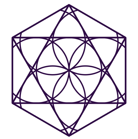Blissful Living Foundation logo